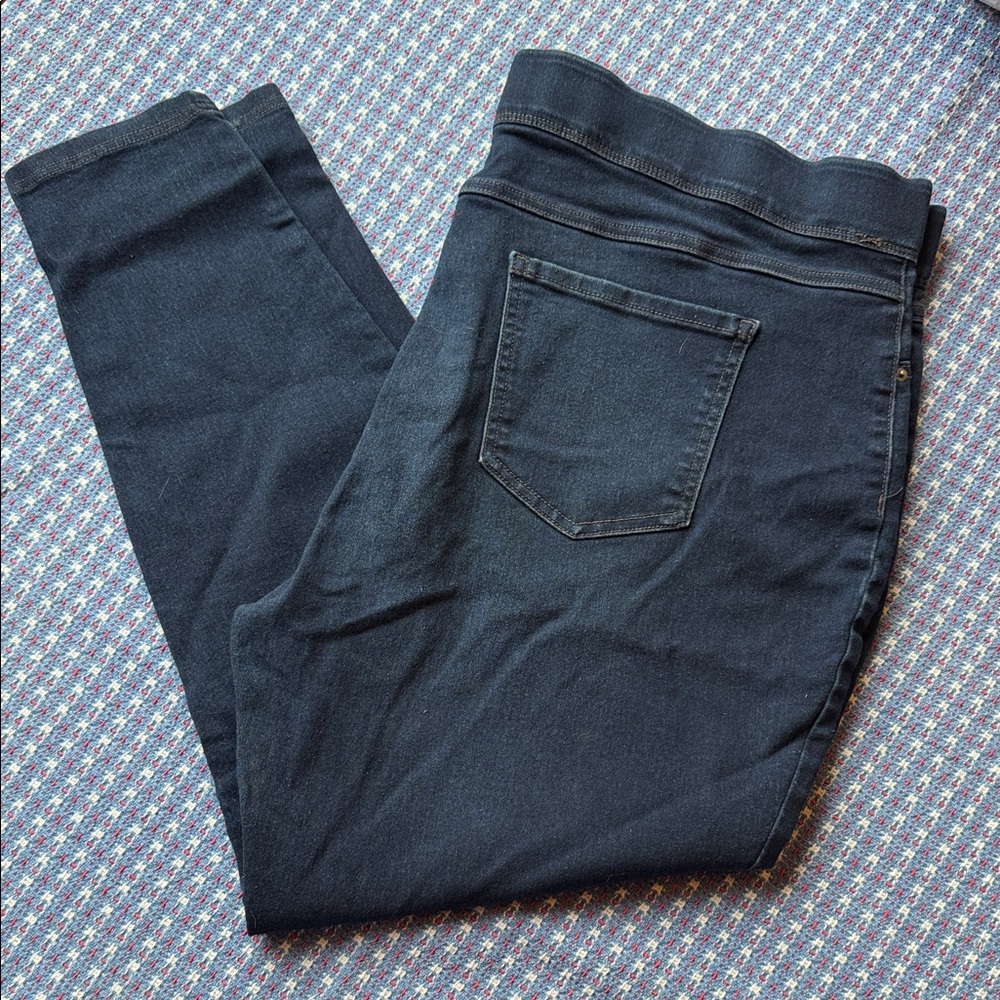 Terra & Sky Dark Blue Women’s Jeggings sz 20-22 2X